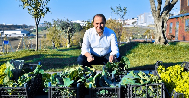 Yaşam Bahçesi’nde İlk Kış Hasadı Yapıldı
