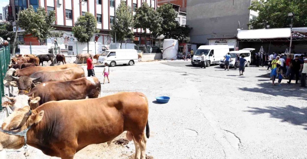 Bağcılar Kurban Bayramı’na hazır