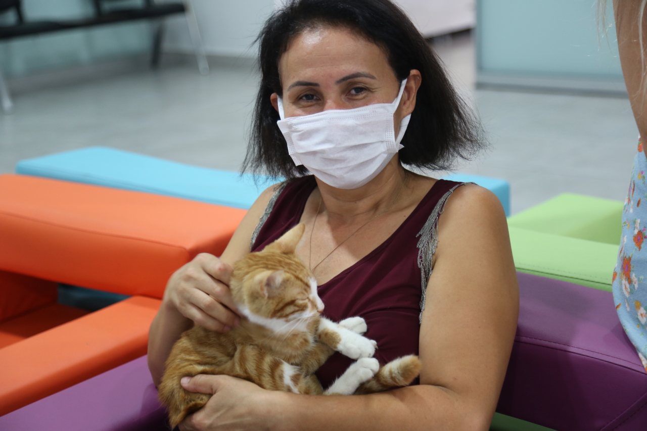 Yaşamaz denilen kedi hayata döndürüldü