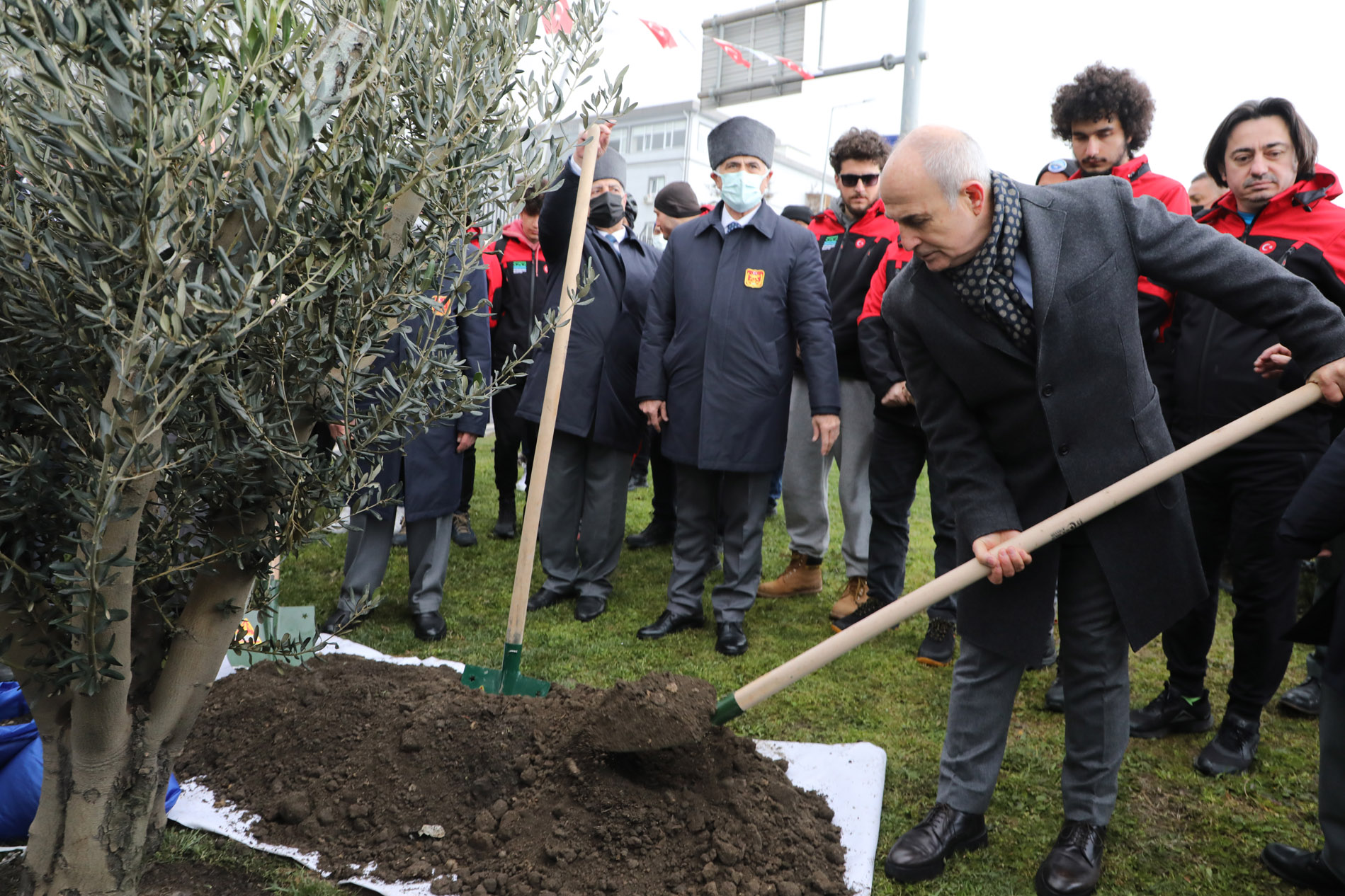 Çanakkale’den gelen toprakla zeytin ağacı dikildi
