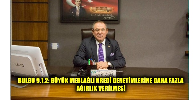 BULGU 9.1.2: BÜYÜK MEBLAĞLI KREDİ DENETİMLERİNE DAHA FAZLA AĞIRLIK VERİLMESİ