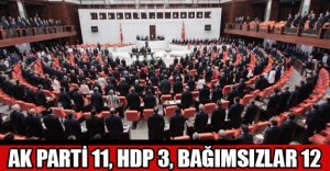 AK PARTİ 11, HDP 3, BAĞIMSIZLAR 12
