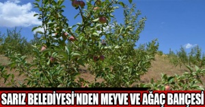 Sarız Belediyesi’nden meyve ve ağaç bahçesi