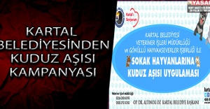KARTAL BELEDİYESİNDEN KUDUZ AŞISI KAMPANYASI