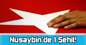 Nusaybin’de Terör Saldırısı: 1 Şehit !