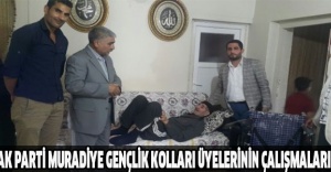AK Parti Muradiye Gençlik Kolları üyelerinin çalışmaları