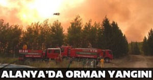 Alanya' da Orman Yangını