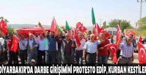 Diyarbakır'da Darbe girişimini protesto edip, kurban kestiler