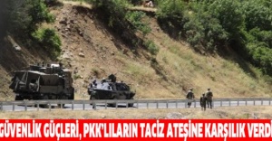 Güvenlik güçleri, PKK’lıların taciz ateşine karşılık verdi