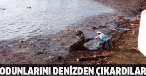 Odunlarını denizden çıkardılar