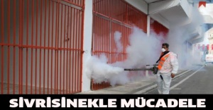 sivrisinekle mücadele