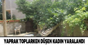 Yaprak toplarken düşen kadın yaralandı
