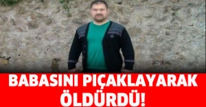 Babasını bıçaklayarak öldürdü!