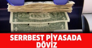 Serbest piyasada döviz