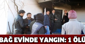 Bağ evinde yangın: 1 ölü