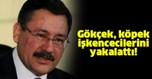 Köpeklere işkence yapanlar yakalandı..'