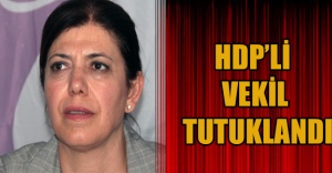 HDP’li vekil tutuklandı