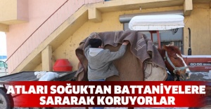 Atları soğuktan battaniyelere sararak koruyorlar