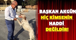 Başkan Akgün: Hiç kimsenin haddi değildir!
