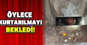 Öylece kurtarılmayı bekledi!