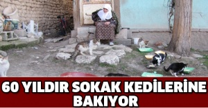 60 yıldır sokak kedilerine bakıyor