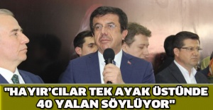 "Hayır’cılar tek ayak üstünde 40 yalan söylüyor"