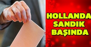 Hollanda sandık başında