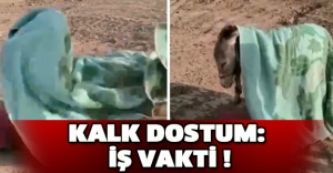 Kalk dostum: İş vakti !