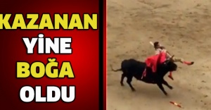 Kazanan yine boğa oldu