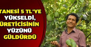 Tanesi 5 TL’ye yükseldi, üreticisinin yüzünü güldürdü