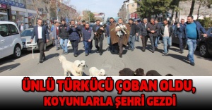 Ünlü türkücü çoban oldu, koyunlarla şehri gezdi
