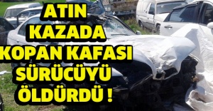 Atın kazada kopan kafası sürücüyü öldürdü !