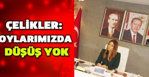 Çelikler: Oylarımızda düşüş yok