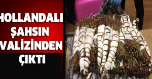 Hollandalı şahsın valizinden çıktı