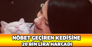 Nöbet geçiren kedisine 20 bin lira harcadı