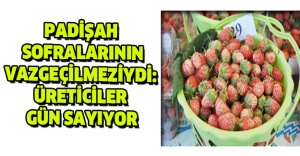 Padişah sofralarının vazgeçilmeziydi: Üreticiler gün sayıyor