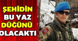 Şehidin bu yaz düğünü olacaktı