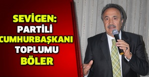Sevigen: Partili Cumhurbaşkanı toplumu böler
