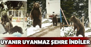 Uyanır uyanmaz şehre indiler