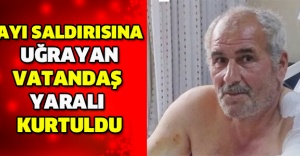 Ayı saldırısına uğrayan vatandaş yaralı kurtuldu