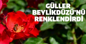 GÜLLER BEYLİKDÜZÜ’NÜ RENKLENDİRDİ