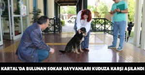 KARTAL’DA BULUNAN SOKAK HAYVANLARI KUDUZA KARŞI AŞILANDI