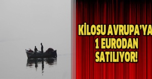 KİLOSU AVRUPA’YA 1 EURODAN SATILIYOR!