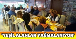 ‘Yeşil alanlar yağmalanıyor’