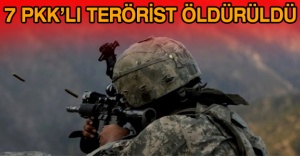 7 PKK’lı terörist öldürüldü