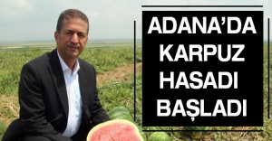 Adana’da karpuz hasadı başladı