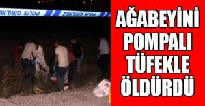 Ağabeyini pompalı tüfekle öldürdü