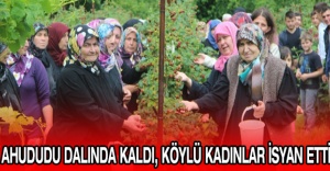 Ahududu dalında kaldı, köylü kadınlar isyan etti