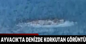 Ayvacık’ta denizde korkutan görüntü