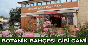 Botanik bahçesi gibi cami